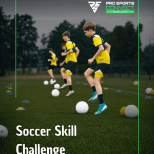 Skill Challenge